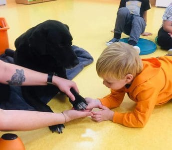 Dogoterapia